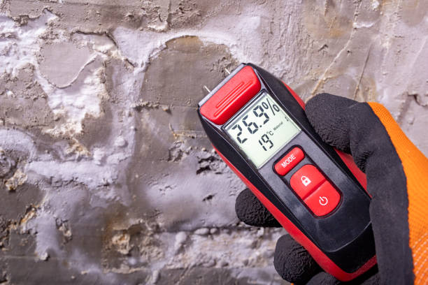 Best DIY Mold Remediation Support Services in Watauga, TX
